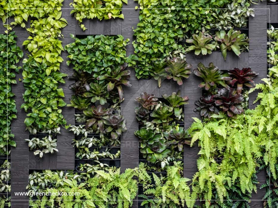 Green wall price