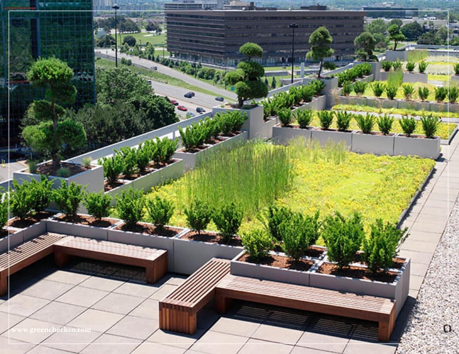 Suitable plants for use in Canadian roof gardens