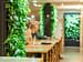 The Thriving World of Green Wall Plants