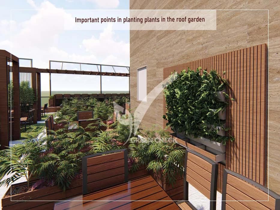 Important points in planting plants in the roof garden (1)