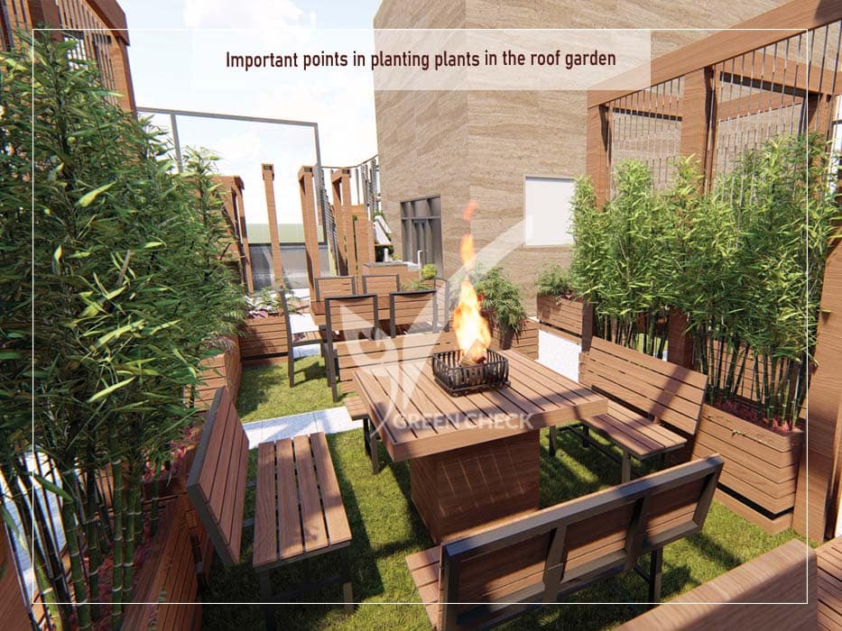 Important points in planting plants in the roof garden