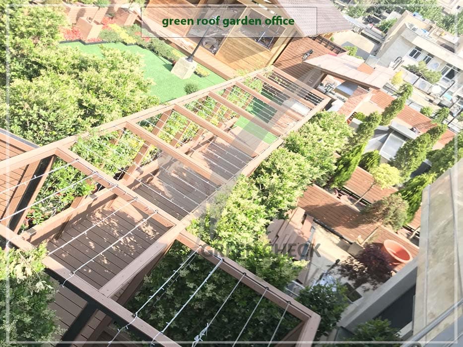 green roof garden office (1)