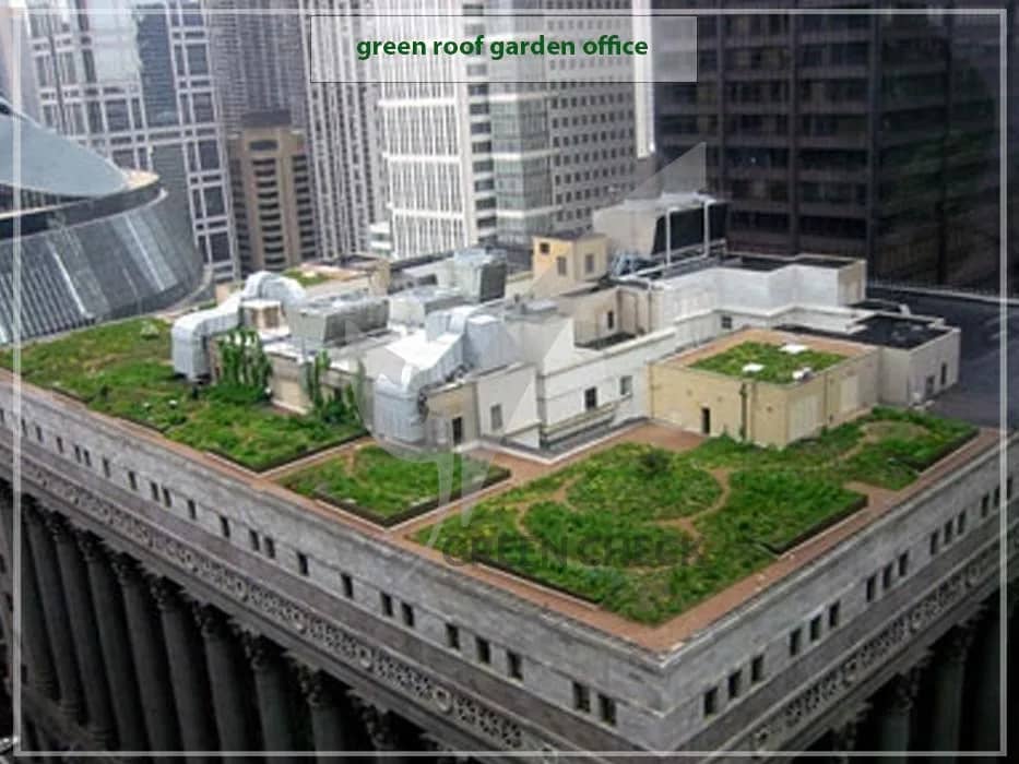green roof garden office (2)