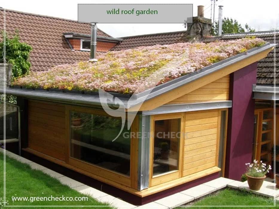 wild roof garden