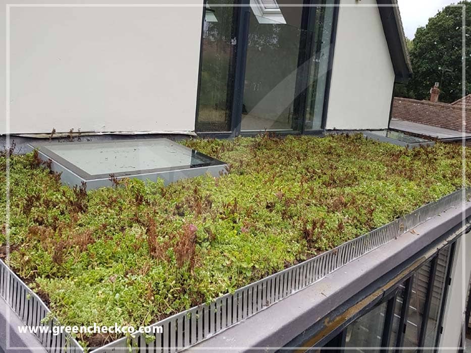 Green roofs with Sedum