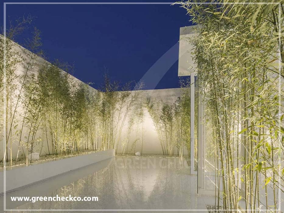 bamboo roof garden (2)