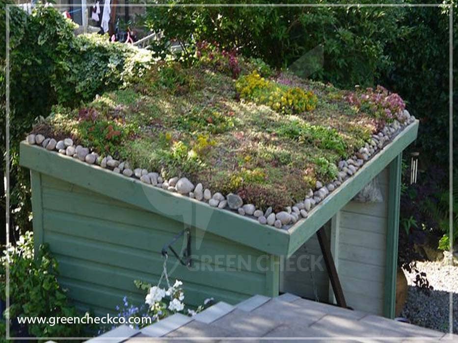 green roof garden (3)