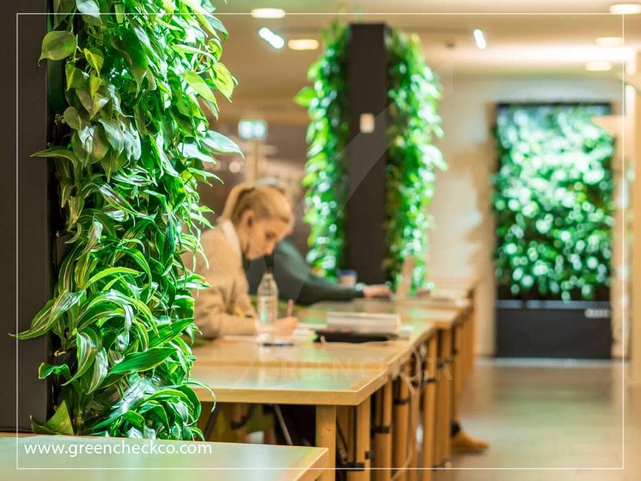 The Thriving World of Green Wall Plants