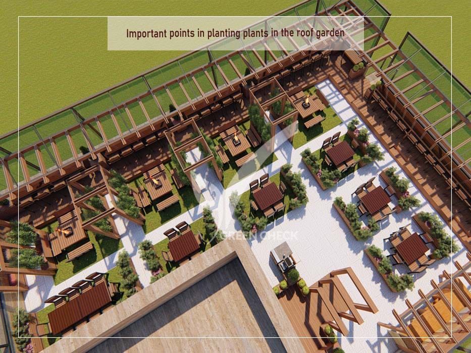 Important points in planting plants in the roof garden