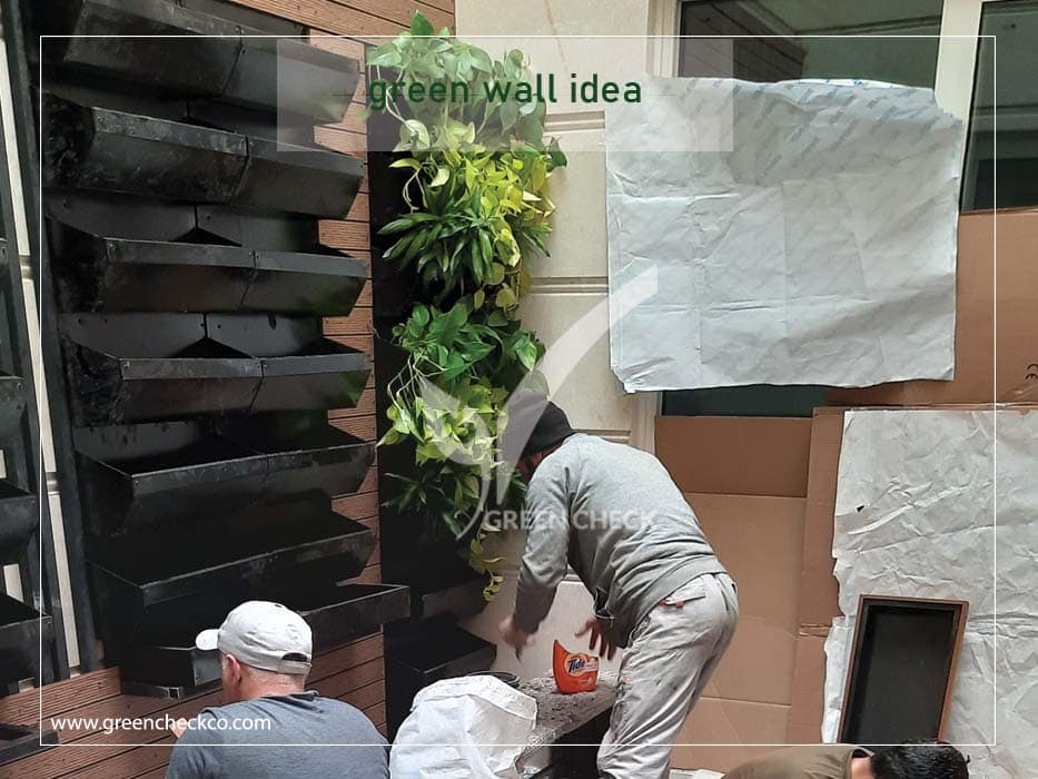 green wall idea