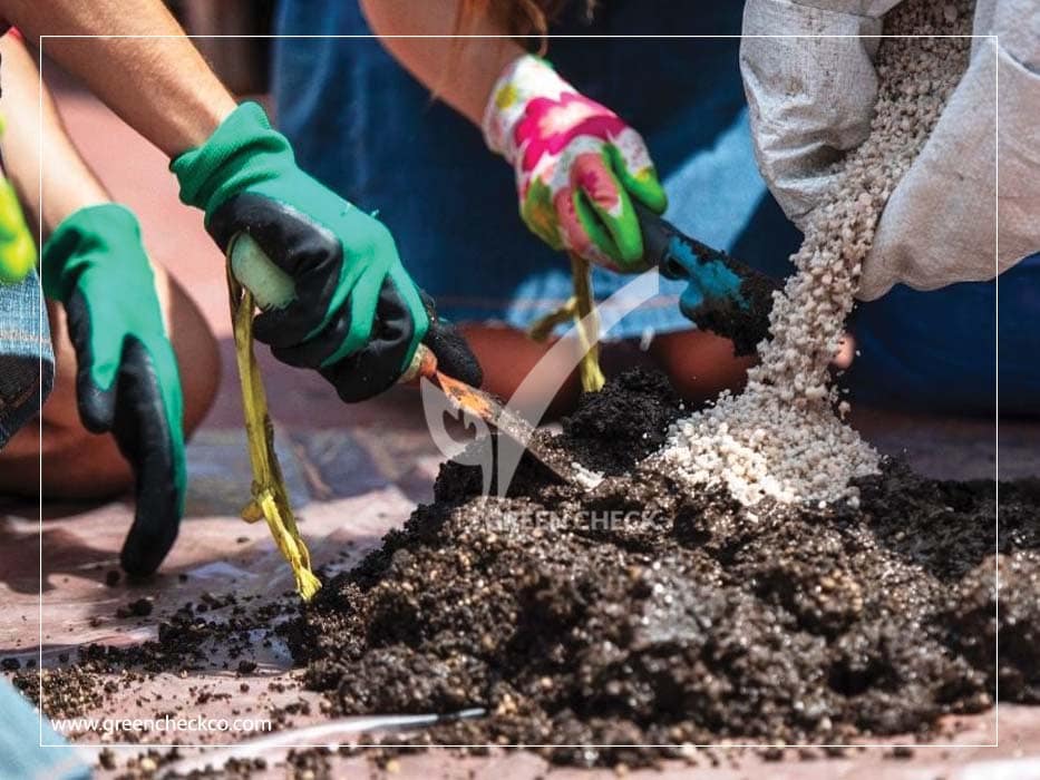 problems with rooftop gardens