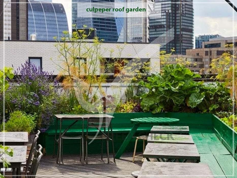 Culpeper Roof Garden