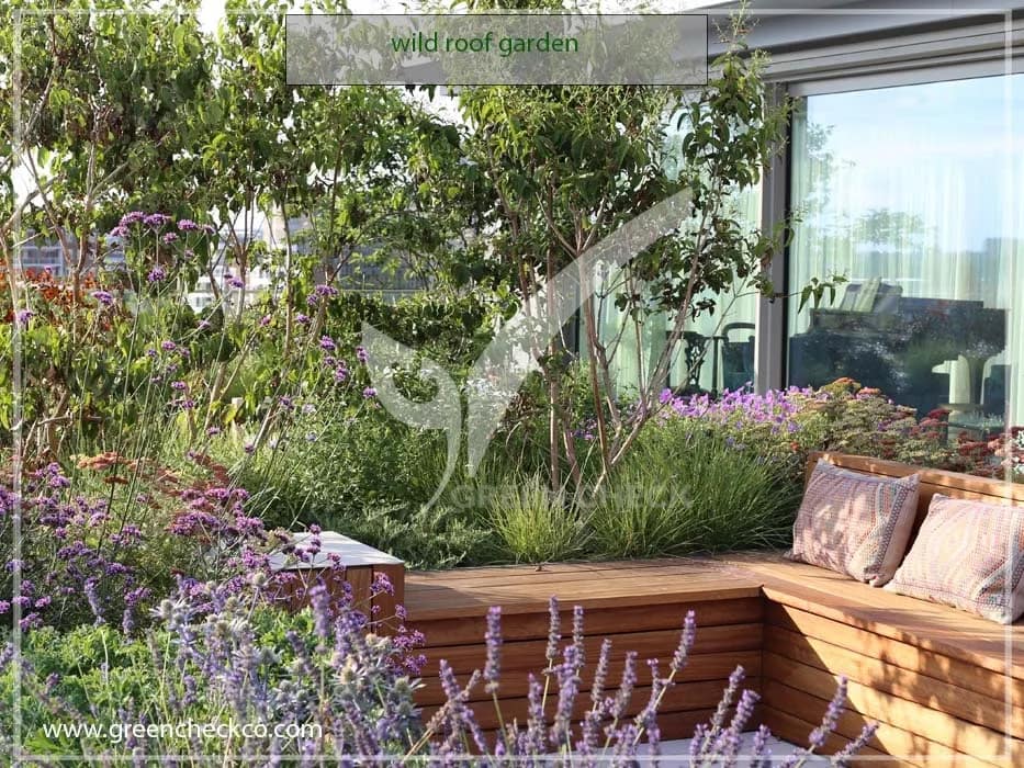 wild roof garden