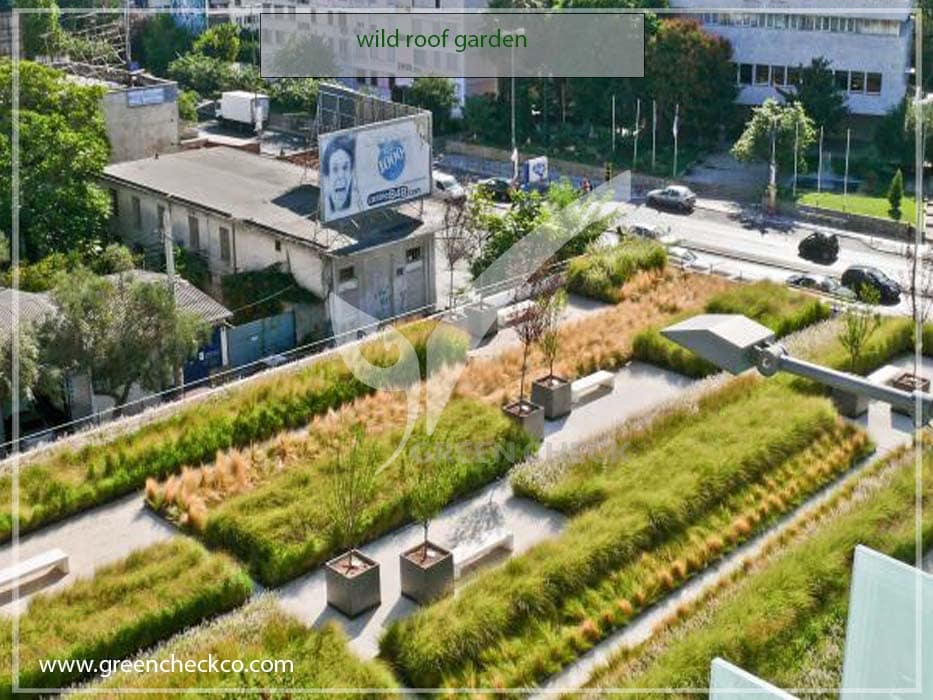 wild roof garden