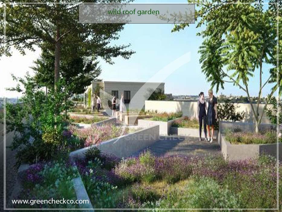 wild roof garden