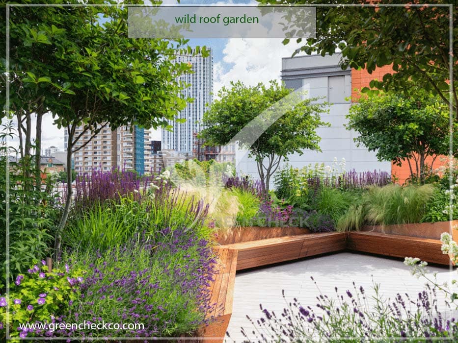 wild roof garden
