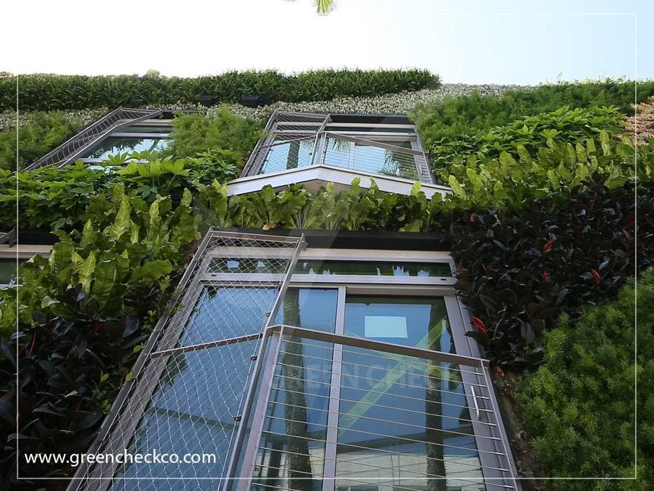 The Thriving World of Green Wall Plants
