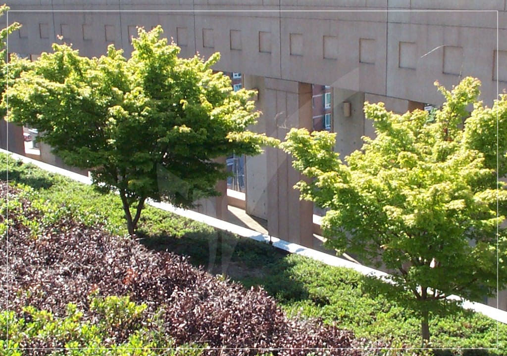 4. Luxury residential buildings in Vancouver