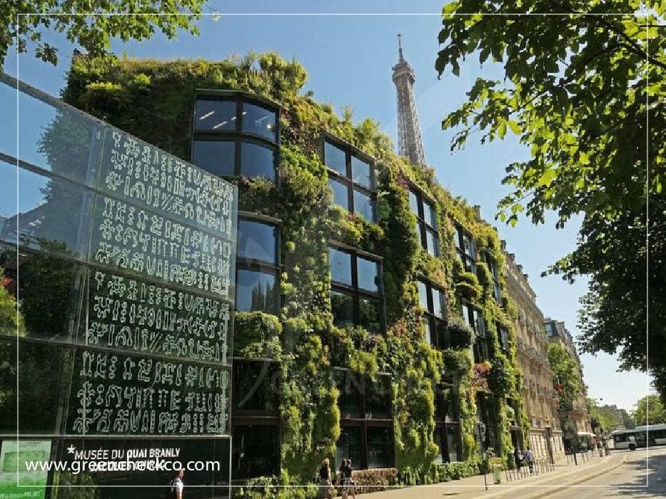 The Thriving World of Green Wall Plants